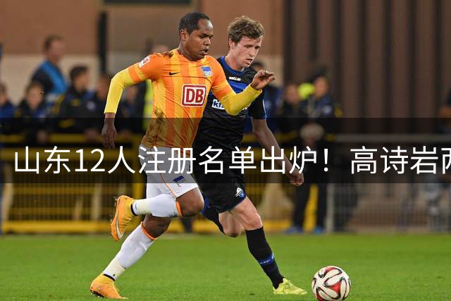 山东12人注册名单出炉！高诗岩两年顶薪，陶汉林只签一年太戳泪点